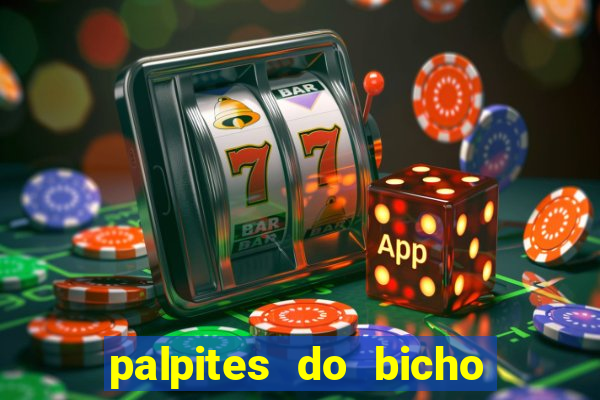 palpites do bicho no celular